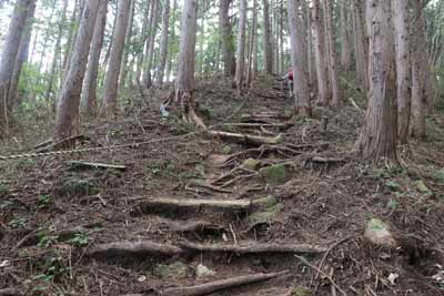急坂