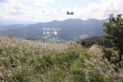 丸山方向