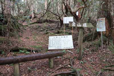 汗見川コース