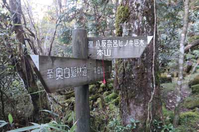 八反奈呂分岐