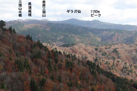 展望舎2Fから