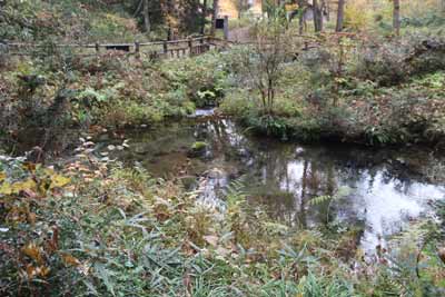 塩釜冷泉