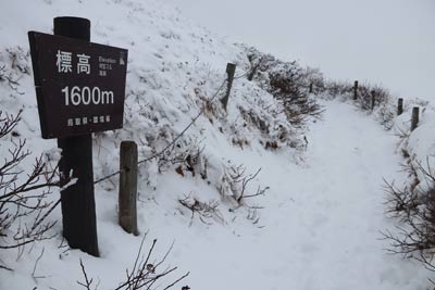 1600m