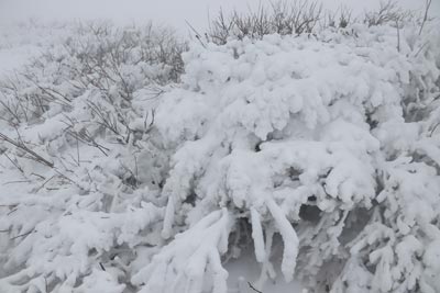 凍てつく大山