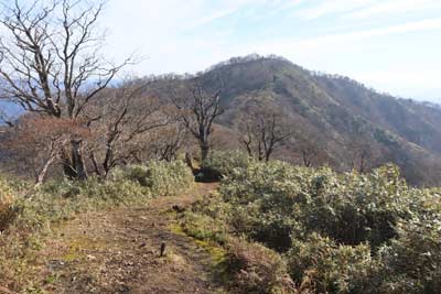 後山