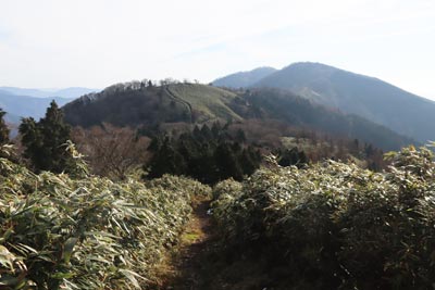 縦走路から