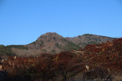 丸山