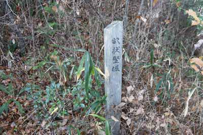 畝状竪堀