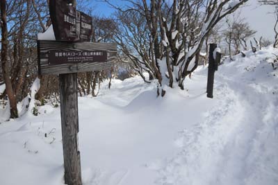 分岐