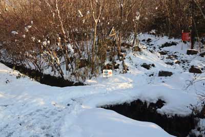 登山口