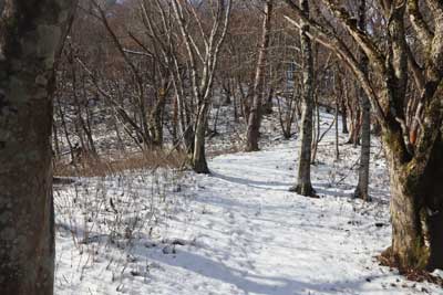 山頂へ