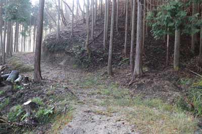 作業道