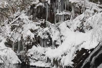 対岸の氷柱
