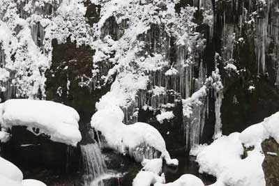 対岸の氷柱