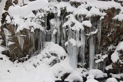 対岸の氷柱