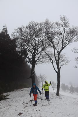 伯州山の門番