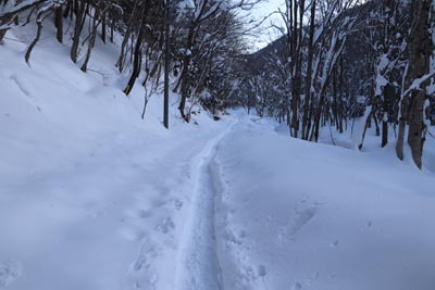 トレース