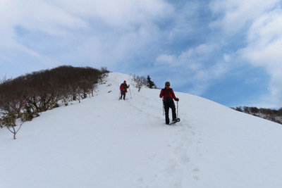 やや重の雪