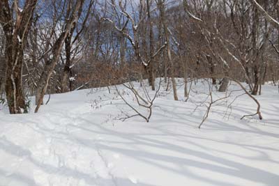 雪