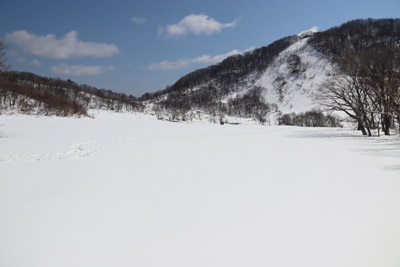 大雪原
