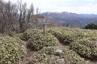 土佐矢筈山山頂