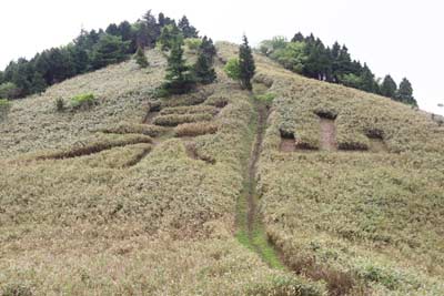 泉山