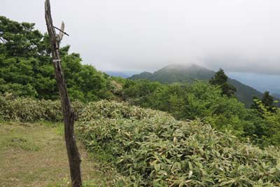 中央峰