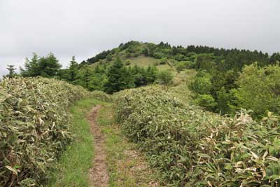 中央峰へ