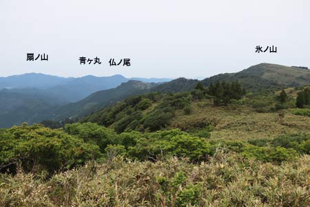 展望台から