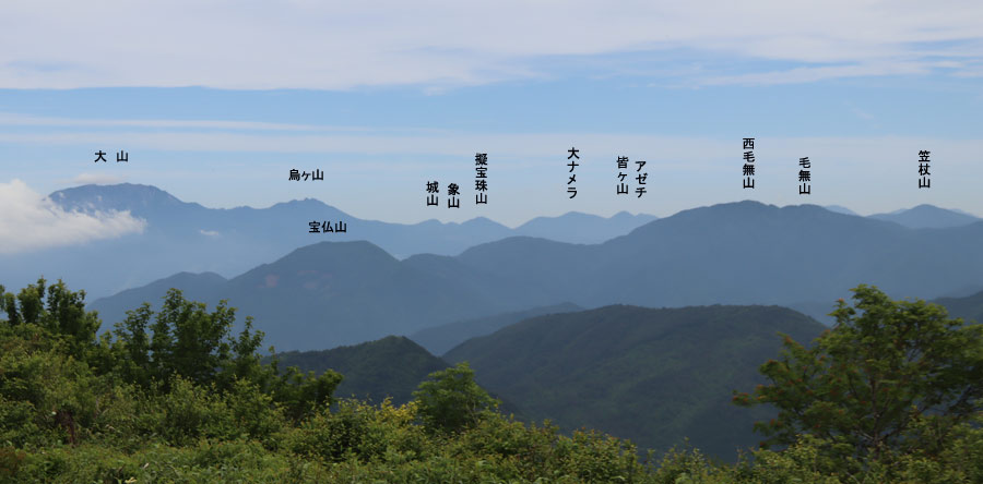 花見山から