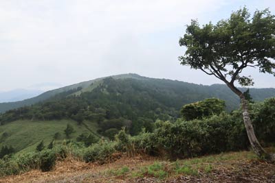 鍋ヶ谷山