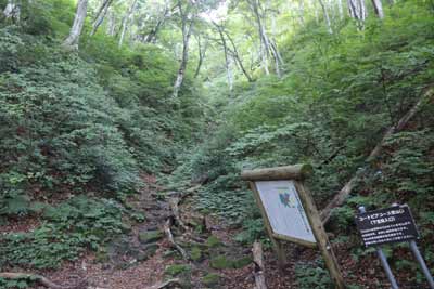 ユートピアコース登山口