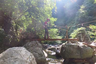 整備された橋