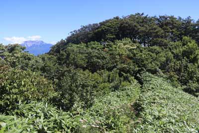 大山とカタクリ広場