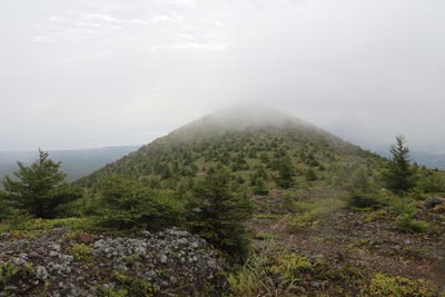 隅田盛