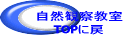 Rώ@ TOPɖ