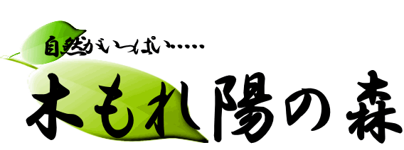 岡山県北津山市加茂町・木もれ陽の森（こもれびの森）