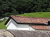 Plants: image 36 0f 49 thumb
