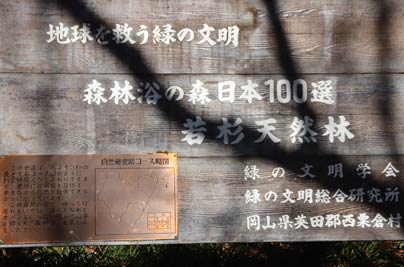 森林浴の森 日本100選
