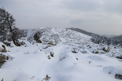 山頂台地