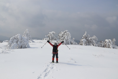 雪原