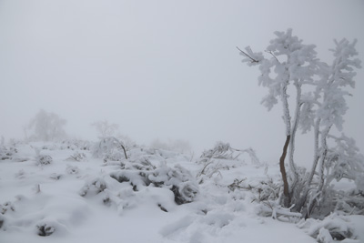 ギラガ仙山頂