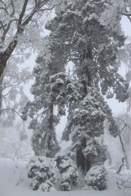 恩原三国山山頂