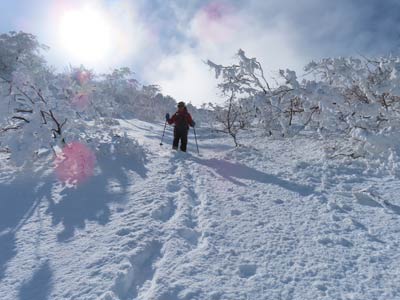 ７合沢下山中