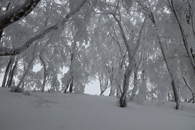 大雪原手前