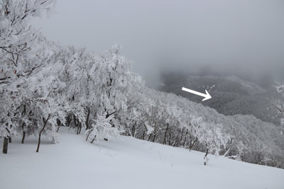 下山予定尾根