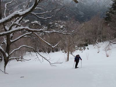 雪原