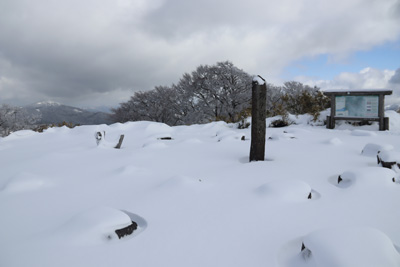 駒の尾山山頂