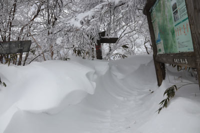 キャンプ場への分岐