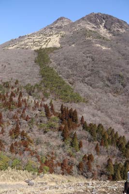 由布岳